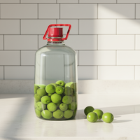 Bocaux en verre épais haut de gamme avec poignées pour la conservation des spiritueux, bouteilles à vin spéciales, récipients scellés, personnalisables