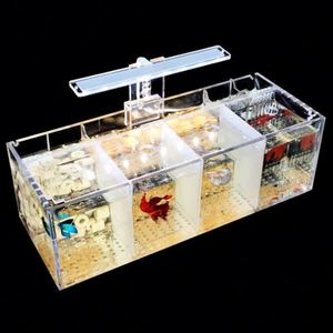 Accesorios de Decoración para Acuario Ecológico, Modernos, de Acrílico, Forma Rectangular, con Diseño de Cumpleaños y Naturaleza Muerta - Product Image 2