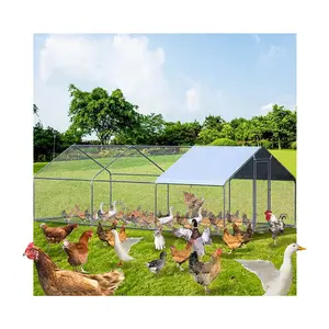 Modern Free Range Backyard Metal Roof 19.5 x 9.8 x 6.5 Feet Chicken Coop House For Hens