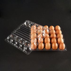 Plateau à œufs en plastique transparent à prix avantageux, 25 alvéoles, carton à œufs en plastique recyclable - Product Image 2