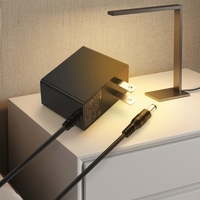 Adaptateur secteur 10W 5V2A avec protection OTP, design mural pour caméras de surveillance/routeurs/haut-parleurs, sûr et silencieux