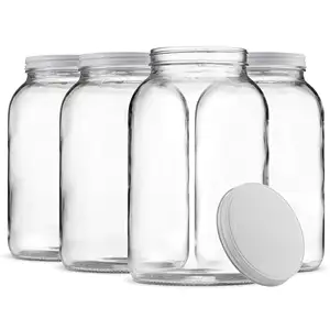 1 Gallon Glass Jar Wide Mouth with Airtight Plastic Lid BPA Free Dishwasher Washable Mason Jar for Fermentation