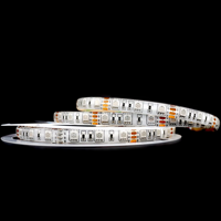 Bande LED RGB 5050 5V, 60 LED/m, haute luminosité, découpable, CRI 80, certifiée CE, pour éclairage de maison, fêtes, Noël et festivals