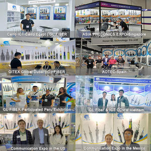 Câble <span class=keywords><strong>de</strong></span> communication en <span class=keywords><strong>fibre</strong></span> <span class=keywords><strong>optique</strong></span> OPGW 48 fibres, câble aérien à terre - Product Image 6