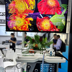 Macchina fotografica dell'endoscopio 4K per apparecchiature di <span class=keywords><strong>Imaging</strong></span> medico Ultra HD per energia elettrica Ent/laparoscopia/isteroscopia/urologia - Product Image 2