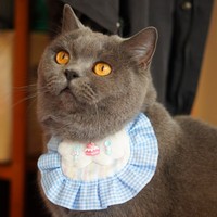 Bavoir décoratif en polyester pour animaux de compagnie, motif dessin animé bonbons, populaire, pour chats et chiens, serviette anti-bave, design mignon, toutes saisons