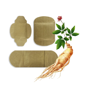 Nuovi Prodotti 2024: Cerotto di Ginseng Rosso alle Erbe, Cerotto di Ginseng e Zenzero per Schiena, Collo e Spalle - Product Image 1