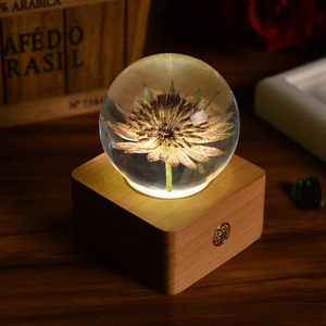 Lovebay nuova tendenza sfera <span class=keywords><strong>di</strong></span> cristallo pianta vera resina <span class=keywords><strong>di</strong></span> fiori immortali ornamento decorativo luce notturna per regalo <span class=keywords><strong>di</strong></span> fiori conservati - Product Image 3