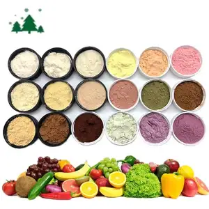 Produttori all'ingrosso polvere di estratto di frutta per uso alimentare polvere liofilizzata polveri di frutta/polvere di verdure/polvere di grano