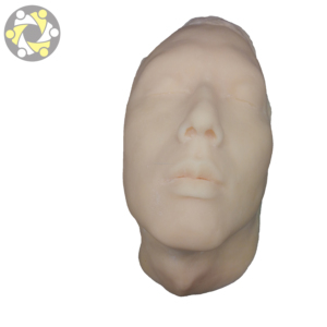 Mannequin facial en silicone avec os internes pour la chirurgie esthétique, la science médicale, modèle anatomique E0502 Chine - Product Image 5