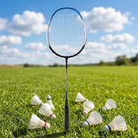Raquette de badminton légère de haute qualité pour l'entraînement, avec manche en aluminium, joint en graphite, cordes durables, pour débutants, conforme aux normes CE