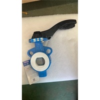 Vanne papillon à joint wafer entièrement revêtue en acier au carbone WCB DN50 CLASSE 150 avec siège en PTFE pour le contrôle des fluides en vrac - Fourniture mondiale
