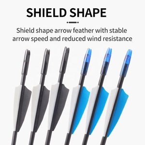 Bắn Cung 6Mm Trẻ Em Sợi Thủy Tinh Mũi Tên Cùn Mẹo Safetyglass Hợp Chất recurve Bow Trẻ Em Người Mới Bắt Đầu Ngoài Trời Chụp Đào Tạo Mục Tiêu - Product Image 4