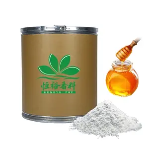 Food Additive Manufacturer Premium Natural Vanilla Flavor Powder Flavor with Low Price