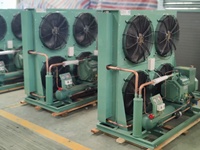 Unité de condensation de type H écoénergétique fabriquée en Chine 5P 6P 8P 10P pour chambre de congélation rapide, unité de congélation pour entrepôt frigorifique