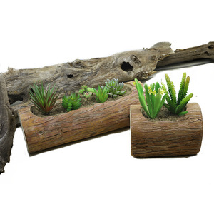 Arbre Racine <span class=keywords><strong>Mini</strong></span> Pastorale Bois <span class=keywords><strong>Pot</strong></span> De Fleurs Succulentes Bassin Stub Réutilisable Plante Fleur Herbe souche <span class=keywords><strong>pot</strong></span> - Product Image 3