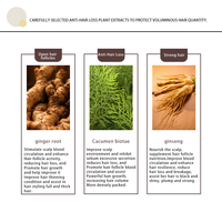 Shampoo anti-chute de cheveux, renforçant les cheveux et contrôlant le sébum, ingrédients naturels, OEM, marque privée