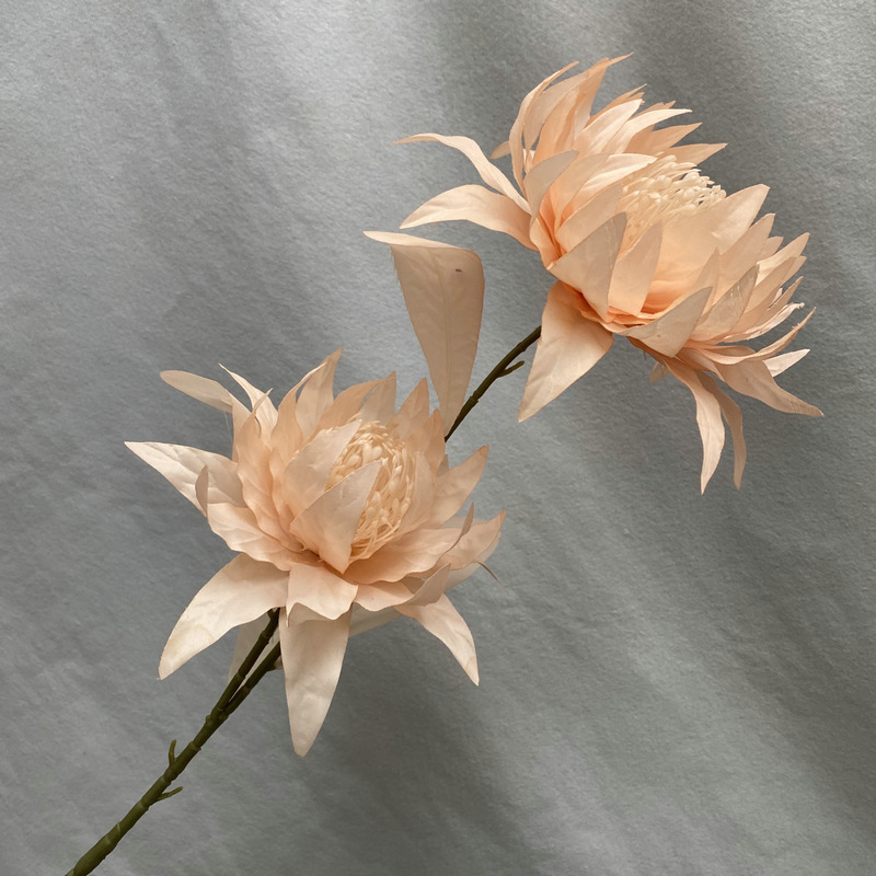 Rose nu