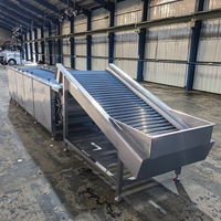 High-Speed Automatische Formaatmachine Voor Fruitgroenten Verbeterde Efficiëntie Sorteerapparatuur Voor Mango Appel Andere