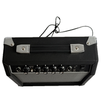 Amplifier Gitar Elektrik Portabel Grosir Langsung Pabrik 20W-100W untuk Pemula & Pertunjukan Gig