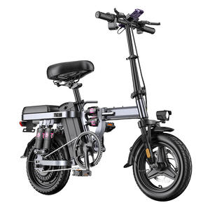 Bicicletta Elettrica Portatile con Motore da 400W e Batteria al Litio Ultraleggera da 48V, Veicolo Elettrico Pieghevole Nuovo Standard Nazionale - Product Image 1