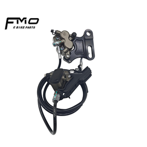 Set di Staffe per Freno Posteriore FMO ETM RTR Ultra Bee CY Pre-Sbloccato con Logo Personalizzato Tagliato al Laser per Aggiornamento Retrofit Moto Elettrica - Product Image 1