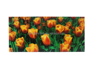 Nouveaux designs, vente en gros, affiche lenticulaire 3D, décoration murale, impression 3D, image changeante, affiche d'anime - Product Image 5