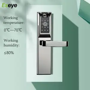 Eseye America Locks APP WIFI Smart Touch Screen Phone Biometric Fingerprint Handle TTlock Anti盗難防止Door Lock