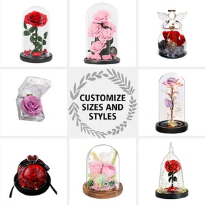 Regalo In cupola di vetro con luci a LED Rose eterne rosse per sempre Rose regalo romantico per le donne Rose stabilizzate per la <span class=keywords><strong>festa</strong></span> <span class=keywords><strong>della</strong></span> <span class=keywords><strong>mamma</strong></span> - Product Image 6