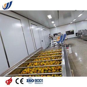 Linea di produzione automatica del succo della scatola di cartone asettico UHT della bevanda dalla pianta intera della frutta fresca - Product Image 6