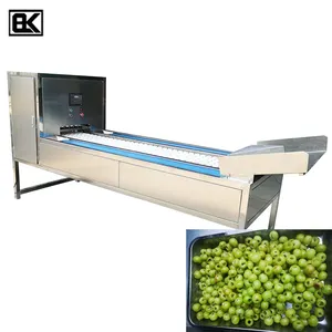 Vendita calda olive core removal machine fruit core pitter remover separator frutta verdura mezza tagliatrice