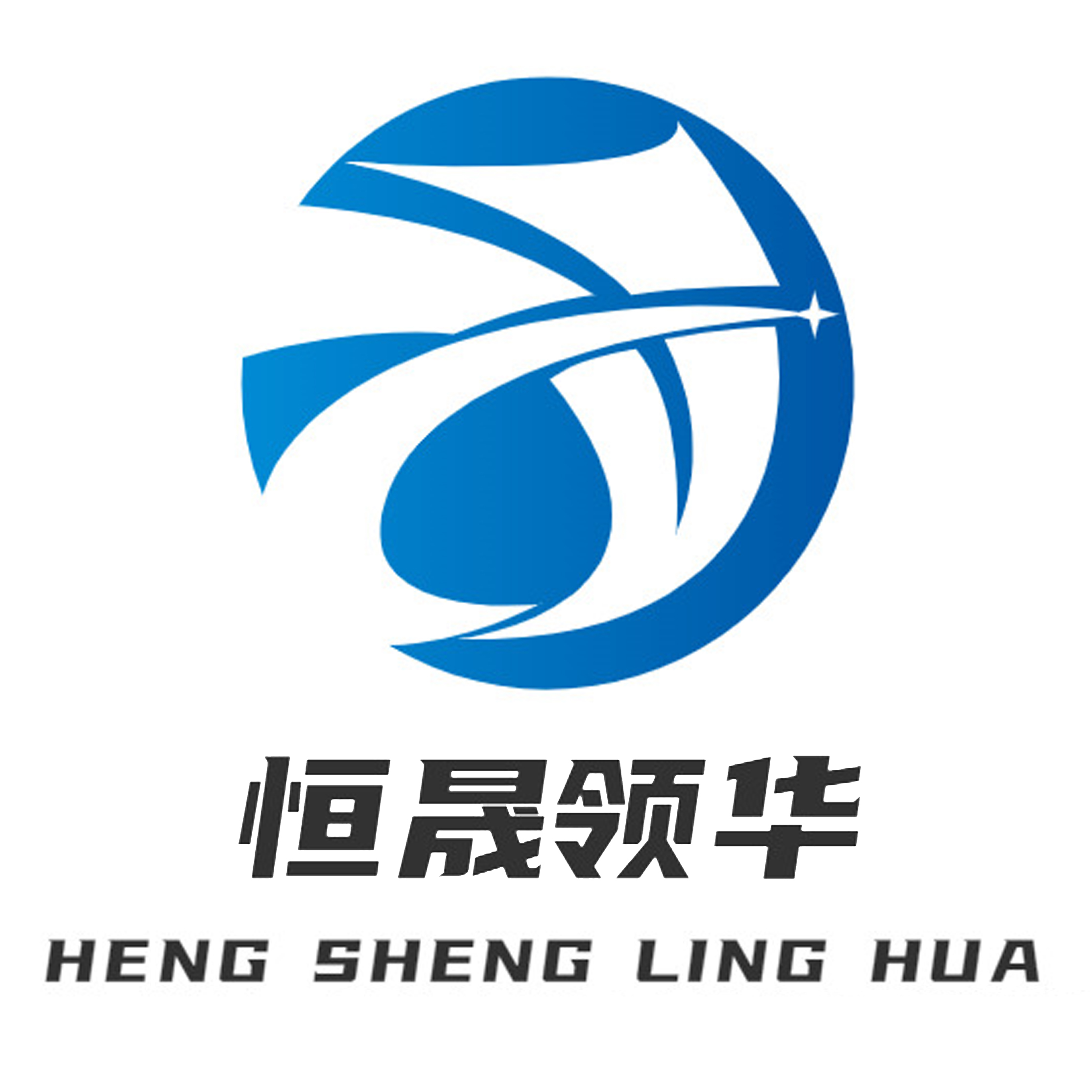 Shanghai Hengsheng Linghua Trading Co., Ltd. logo