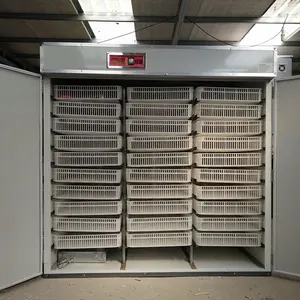 Ovos máquina incubadora incubadora 5280 ovo de galinha incubadora 5000 ovos totalmente automático 110V/220V