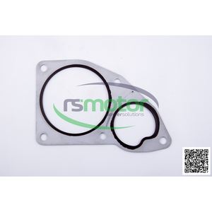 Garnitures formées par OEM RS-12316375 originale de garnitures de MWM - Product Image 6