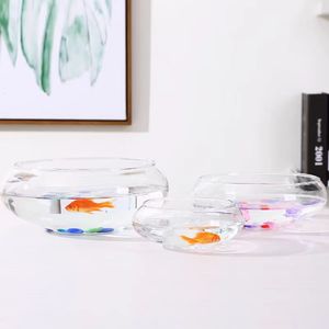 Atacado moderno de grande diâmetro vaso de vidro transparente Narciso pote Hidropônico pennywort tigela Lotus tigela - Product Image 3