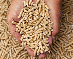 Pellets de madera en oferta: Arena ecológica de pino Emily Pets para gatos, venta al por mayor de arena de pino. - Product Image 3