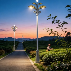 Manufacturer AC 220V 10% Remote Control IP65 6-12M Outdoor Road Lamp <b>Post</b> Led <b>Lights</b> Landscape Street <b>Light</b> 10-Year Warranty - Product Image 4
