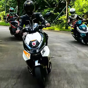 Moto Elettrica Fuoristrada <span class=keywords><strong>a</strong></span> Due Ruote da 16 Pollici, Direttamente dalla Fabbrica, Motore ad Alta Potenza 2800W, Velocità Massima <span class=keywords><strong>90</strong></span>+ KM/H - Product Image 2