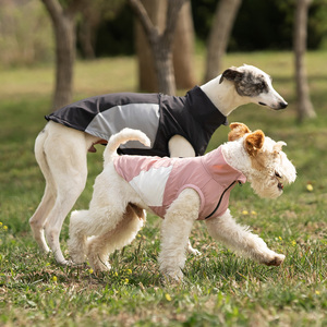 เสื้อโค้ทแบบมีซิปสำหรับสัตว์เลี้ยงเสื้อโค้ทสำหรับสัตว์เลี้ยงเสื้อโค้ทสำหรับใส่กลางแจ้งเสื้อกั๊กระบายความร้อนสำหรับสุนัขฤดูร้อน - Product Image 4