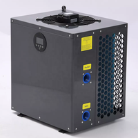 WiFi smart control air source pompe à chaleur de piscine 10-28 Kw chauffe-refroidisseur villa bain à remous bain de glace pour moyen-orient titane anticoroson
