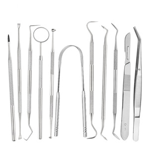 Stainless Steel Dental Tool Set 11-Piece Portable Tartar Remover Oral Care Probe Home Use - Product Image 4