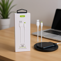 Câble de données USB Type-C pour iPhone S&N IOS, charge rapide 3A, fabriqué en Chine