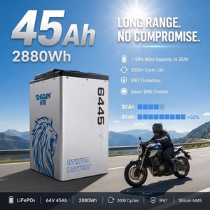Slimme 64V 45Ah LiFePO4 accu GPS IP67 waterdicht voor E-bike elektrische scooter motorfiets 2-wieler bromfiets lithium-ion accu - Product Image 1