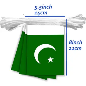 Hot Selling Polyester Pakistan Bunting 5.5*8 inch String Flag National Banner of Pakistani For Outdoor Indoor Decoration