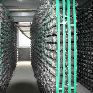 Estantes personalizables para el cultivo de hongos comestibles. - Product Image 3