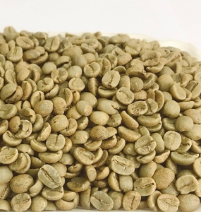 Vietnamese Specialty Arabica S16+ Green <b>Coffee</b> <b>Beans</b> Processed By Wet Hulled Method Certified And Traceable <b>Beans</b> - Product Image 1