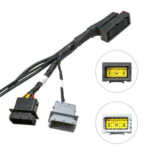 Aichie MFG: Kit d'assemblage de démarrage d'entrée de câble étanche ECU automobile à tarif zéro faisceau de câblage pour système de transmission de puissance - Product Image 6