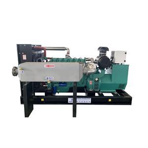 Generador de Gas Pulita de 35Kw con Motor de Ahorro de Energía para Uso Industrial - Product Image 2