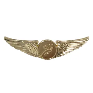 Wholesale 2D 3D Plated Badges Aviation Airline Airbus Wings Pilot Lapel Pin