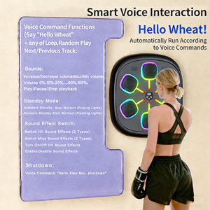 <span class=keywords><strong>Sac</strong></span> <span class=keywords><strong>de</strong></span> <span class=keywords><strong>frappe</strong></span> intelligent pour adultes <span class=keywords><strong>avec</strong></span> lumière LED Bluetooth, équipement <span class=keywords><strong>de</strong></span> fitness à domicile - Product Image 4